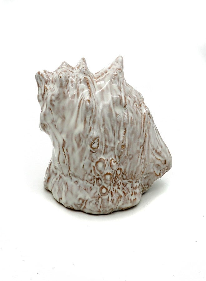 ALEGI Aquarium Decorations Cave Ceramic Sea Shell Decor, Rock Cave Decor for Shrimp Cichlid Hiding Fish Tank (Sea Shell A) - Image 3